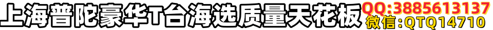 上海普陀豪华T台海选质量天花板 微QTQ14710 QQ3885613137